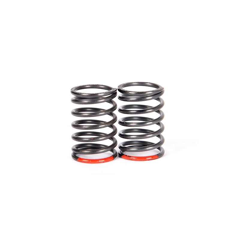 REAR RED SPRINGS 1/10