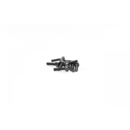 HEX HEAD CAP SCREWS 3X12 ( 10 PCS )