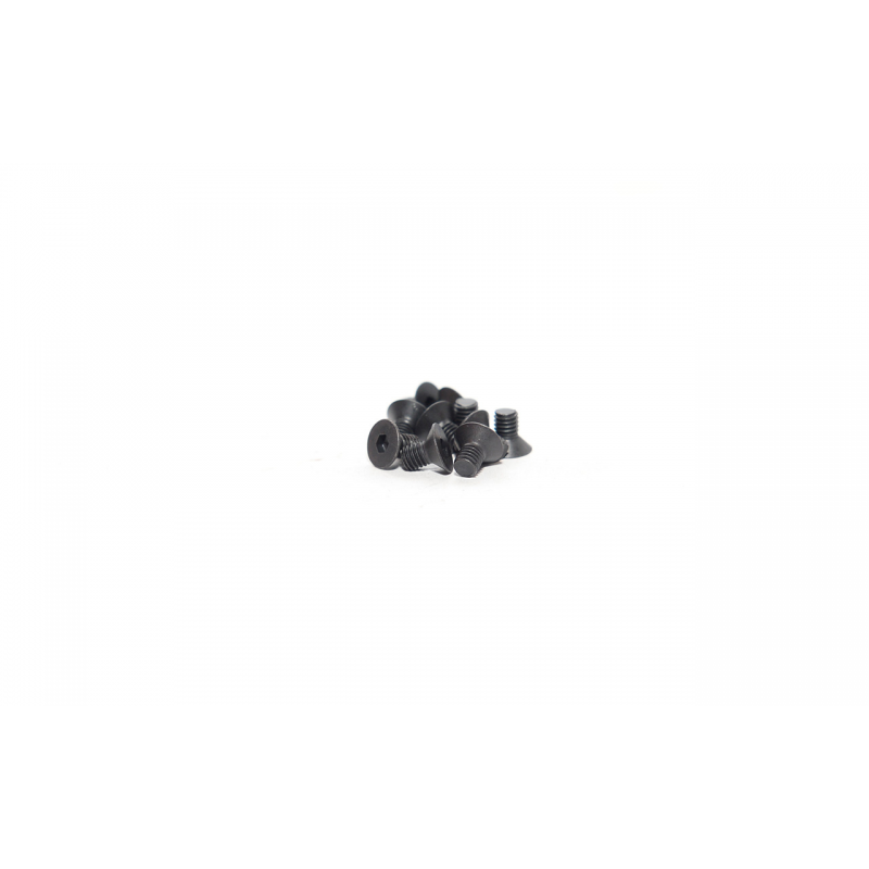 FLAT HEAD SCREW 3X5 (10PCS)