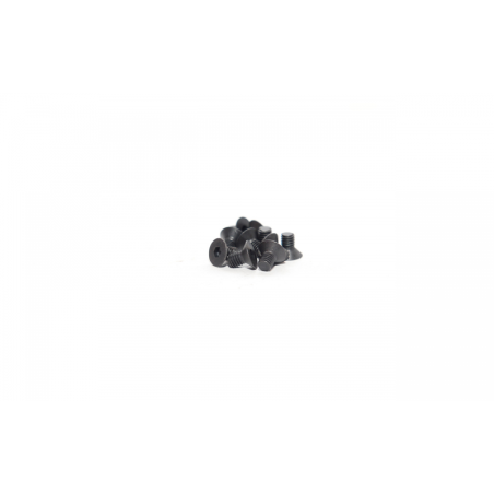 FLAT HEAD SCREW 3X5 (10PCS)