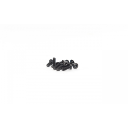 ROUND HEAD SCREW 3X8 (10PCS)
