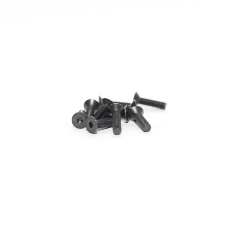 FLAT HEAD SCREW 3X12 (10pcs)
